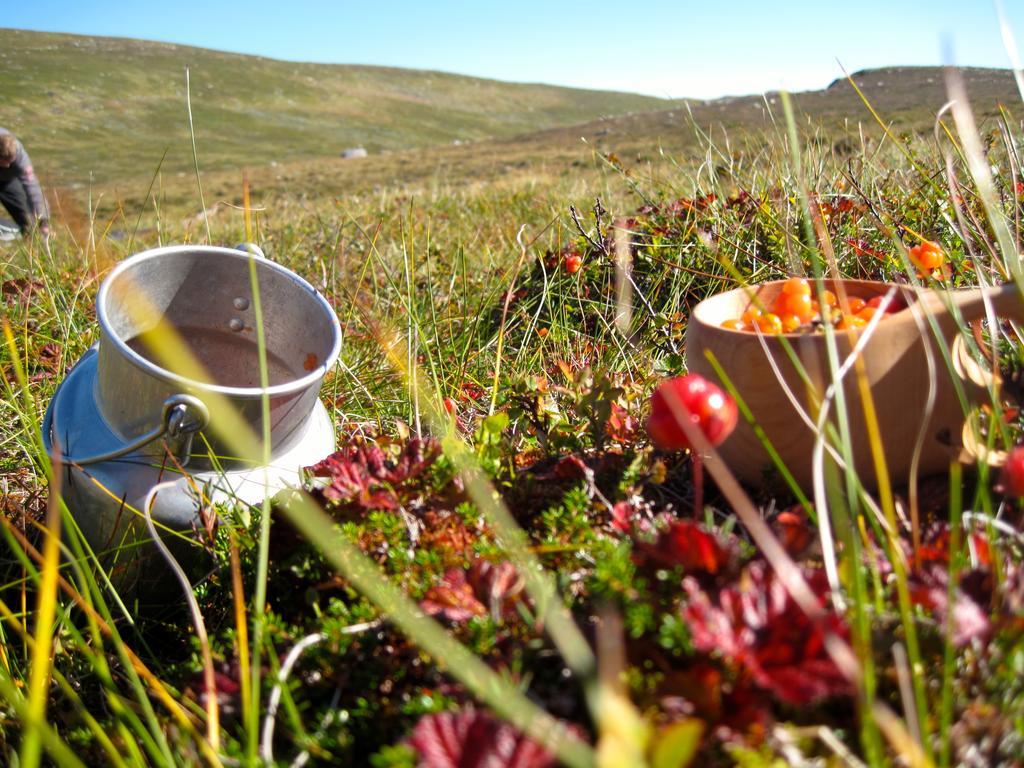 Norefjell - Storhytte Med Jacuzzi Og Fantastisk Beliggenhet Noresund ภายนอก รูปภาพ